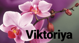 Магазин «Viktoriya»